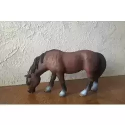 Poney Broutant
