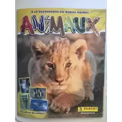 Album