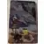 Nintendo Switch Games - Pokémon legends Arceus Steelbook