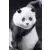 Kotobukiya Anime / Manga - Panda - ARTFX J