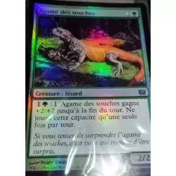 Agame des souches Foil