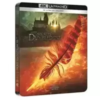 Les Animaux fantastiques : Les Secrets de Dumbledore [4K Ultra HD + Blu-Ray-Édition boîtier SteelBook]