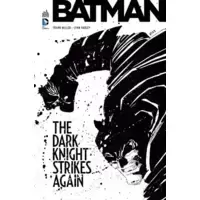 Dark Knight Strikes again