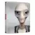 Paul steelbook