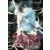 Tome 6