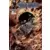Spawn 10