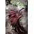 Spawn 30