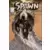 Spawn 39