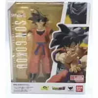 Son Goku - A Saiyan Raised on Earth