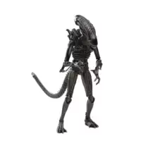 Aliens - Brown Alien Warrior