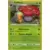 Rafflesia Holographique