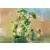 Playmobil Wiltopia - Forêt tropicale avec veilleuse