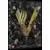 Vikings : Saison 5 Partie 1