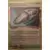 Aspirateur Perdu Reverse