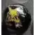 Alakazam