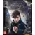 Harry Potter & Fantastic Beasts - Fantastic Beasts And Where To Find Them