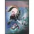 Pix\'n Love - Le Mook - Pix’n Love #35 - Maui Mallard - Couverture Collector