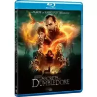 Les Animaux fantastiques : Les Secrets de Dumbledore [Blu-Ray]