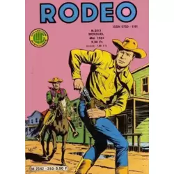 Rodéo 393