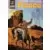 Wild west show (suite)