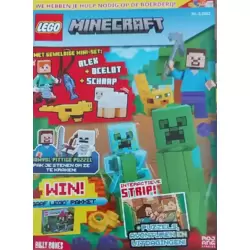 Lego Minecraft n°2