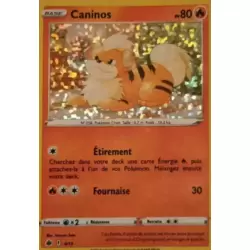 Caninos Holographique