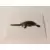 Animaux à la découverte du monde animal - La tortue au long cou
