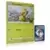 Cartes Pokemon Jumbo XXL - 25ème Anniversaire - Ouistempo - Jumbo