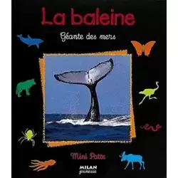 Baleine : géante des mers