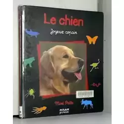 Chien joyeux copain