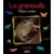 Grenouille parfaite acrobate