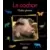 Le Cochon