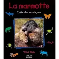 Marmotte, Lutin des Montagnes
