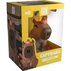 Animal - Capybara