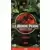 Jurassic park : le monde perdu [VHS]