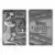 Fanattik - Ingot & Metal Card - Disney - 101 Dalmatians