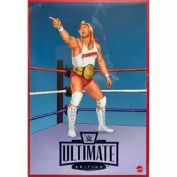 Coliseum Collection - Hulk Hogan