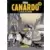 Le Voyage des cendres