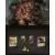 Pinfinity - Magic: the Gathering - Year of the Tiger Pin Set