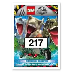 Carte Puzzle N°217