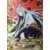 Kaguya