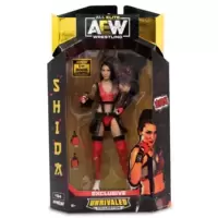 Holy Shida! Hikaru Shida