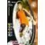 David Bouard - FC Lorient