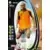 Wizards Football Champions France 2001/2002 - Elie Kroupi - FC Lorient
