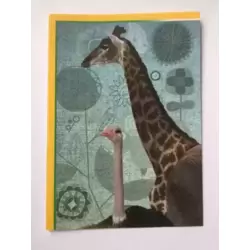 Girafe / Autruche