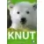 Knut Sticker Album