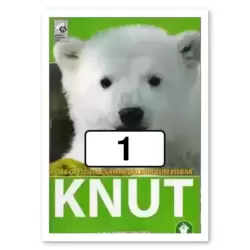 Image n°1