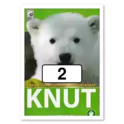 Image n°2