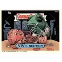 VIV E. Section