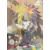 Series NR - Minato
